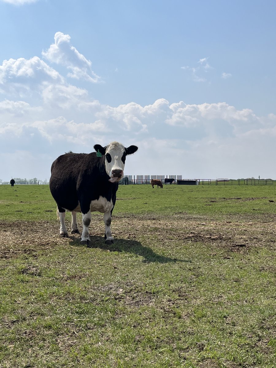 Ryan Patterson tweet media