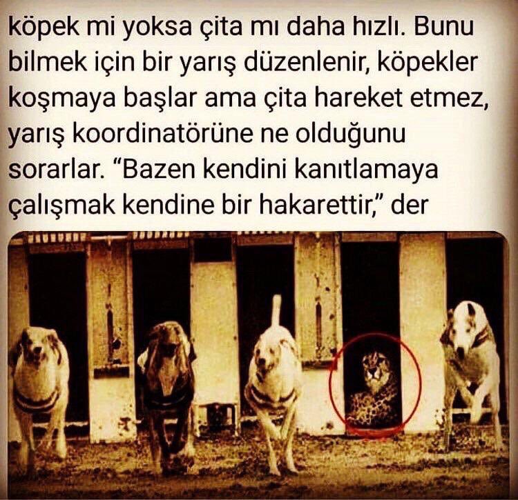 Bunlar canlı işlemler piyasa fena düşerken sizlere verdiğim #MPC 2x oldu. Daha sonra #CANTO’yu verdim oda Şuan %45 oldu. Daha dün #ETH de grafik attım #ETH başı üstüne 600$ koydu. Boğa gelmeden #AIOZ verdim 100x oldu. Kendimi kanıtlamaya ihtiyacım yok başarım ortada zaten ama