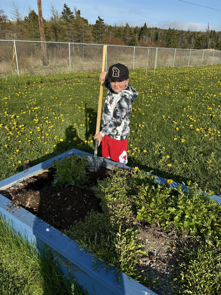 mstpinhorn's tweet photo. Beautiful evening to do some minor repairs at our school garden so we can get the flower boxes ready for new seeds! 🌞 🌸  @AdmiralsAcad_NL @msheatherivey https://t.co/kUl4pGOAZV