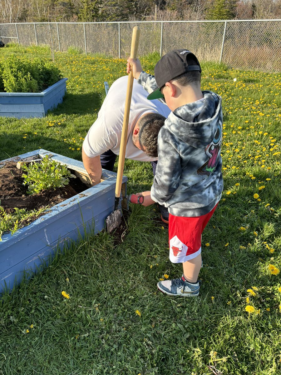 mstpinhorn's tweet photo. Beautiful evening to do some minor repairs at our school garden so we can get the flower boxes ready for new seeds! 🌞 🌸  @AdmiralsAcad_NL @msheatherivey https://t.co/kUl4pGOAZV
