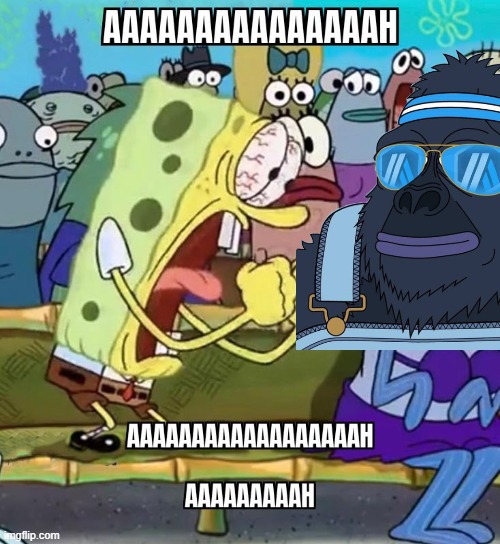 $BO at ALL TIME HIGHHHSSS📈