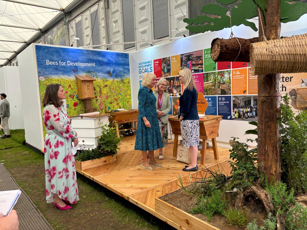 🐝 Buzzing with excitement on #WorldBeeDay! The Queen visited the @beesfordevelopment team at @RHSChelsea today. Together, they delved into the incredible impact bees and beekeeping have on tackling vital issues like alleviating poverty, 🔗 Find out more: