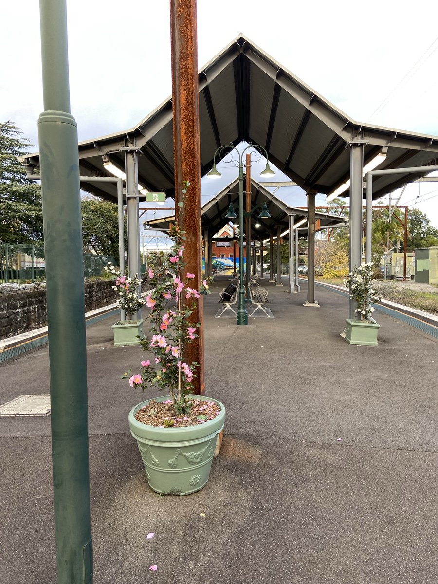 John Skinner tweet media