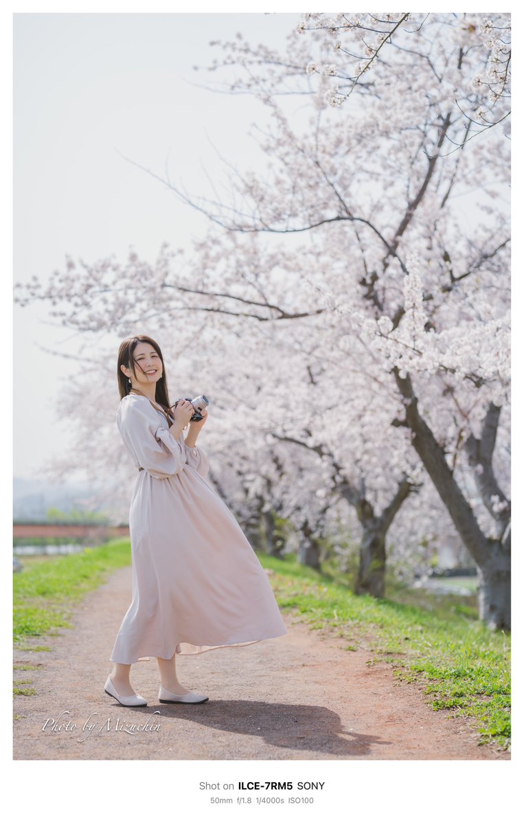 今朝の一枚

モデル 柏木智美さん

春を告げる風が今吹いて…🌸

#桜ポートレート 
#みずちんフォト
#アルファホビー