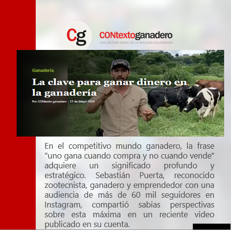 El ganadero y zootecnista colombiano, Sebastián Puerta, compartió en sus redes un video en el que habla sobre la importancia de la compra, más que de la venta en el negocio ganadero. @Fedegan @jflafaurie @FacatativaPl @PL_Zipaquira @ubate_pl @GirardotPLocal
