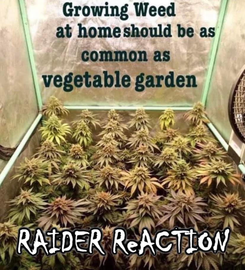 The RAIDER ReACTION Public Service Announcement of the Day!!!! 🔥🔥🔥🏴‍☠️☠️🏴‍☠️🔥🔥🔥 #Commish81 #RAIDERReACTION #Raiders #ElPirata #RAIDERLINES #410Raider #RaiderMyron #RaiderSpleve #RaiderNation #NFL #TheDarkSide #TheRaiderNationReport