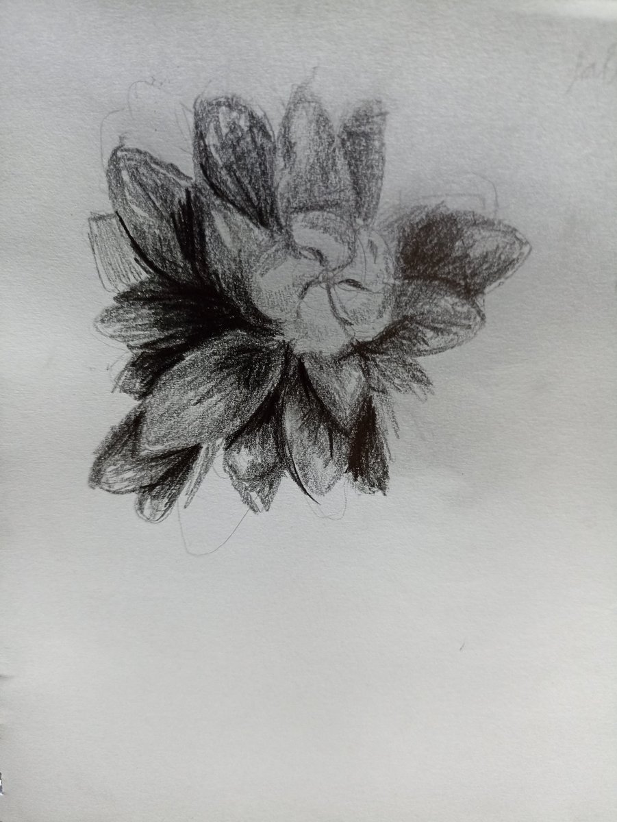 dominixarty's tweet photo. tô tentando treinar profundidade (desconsiderando detalhes de textura, apenas sombra e distância), aceito dicas e críticas https://t.co/v5nGjswVag