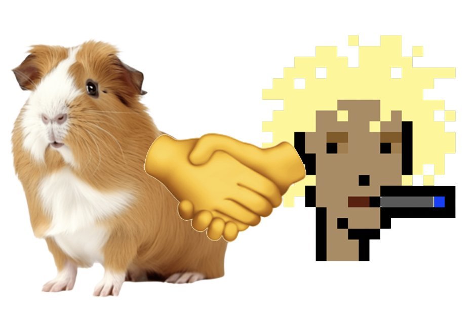 worldpvpguinea's tweet photo. @jessepollak @worldpvpco guinea loves jesse https://t.co/oqt08YYbXg