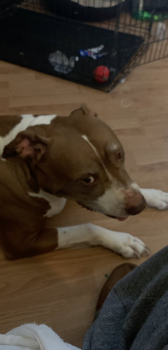 My baby ashes came today