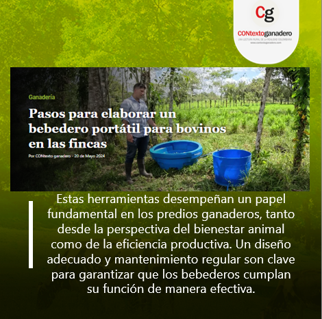 Los bebederos son fundamentales en cualquier finca. Su importancia radica en varios aspectos que van desde el bienestar animal hasta la eficiencia productiva. @Fedegan @jflafaurie @FacatativaPl @PL_Zipaquira @ubate_pl @GirardotPLocal #ConstruyendoGanadería