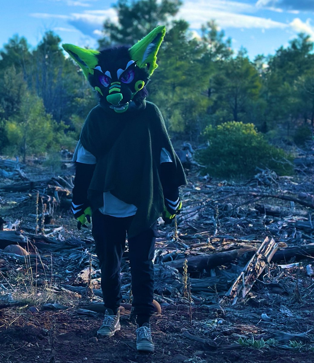 cryptic_lupine's tweet image. Call me Cass! The creature you all know me by is Toxin, the dino dog.
I am a…
-performer
-artist
-car enthusiast
-swamp dweller
-fish connoisseur
My pronouns are they/them, welcome to my page!