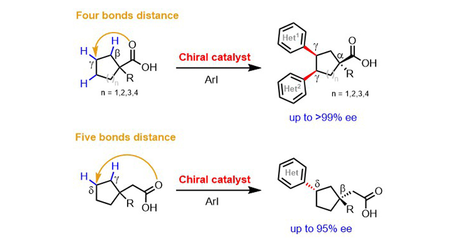 The Jin-Quan Yu Lab has developed a method to create ‘gamma chiral centers’ on carboxylic acids, published in @ScienceMagazine. This could revolutionize #drugdesign by enhancing the ability to build complex pharmaceutical #molecules.

More: ow.ly/GRBS50RNTWh