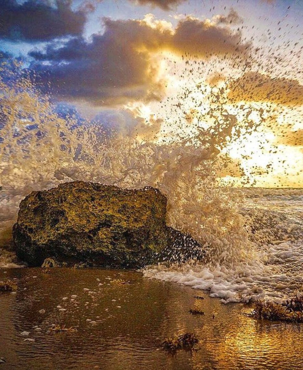 😎 Everyone loves a long weekend! And spending it by the beach is always a good idea.

📍: Fort Lauderdale beach
📸 : matthew_carby_photographer

#visitlauderdale #fortlauderdalebeach #floridabeaches