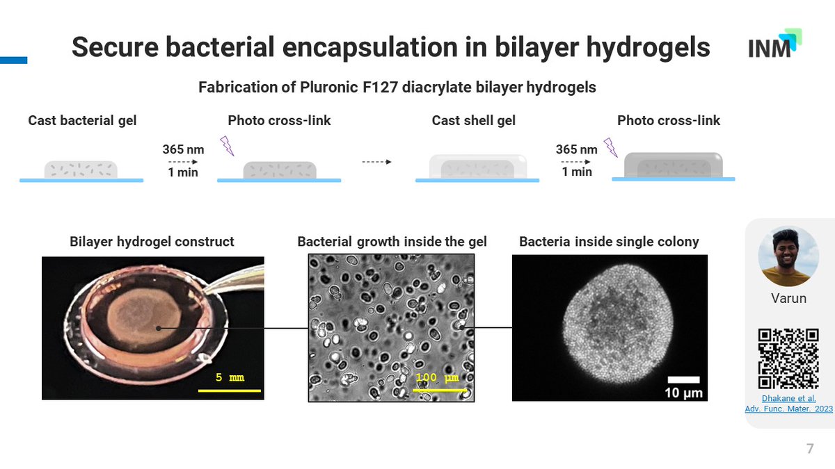 Living Therapeutic Materials! What? Why? How? - Check out my talk in the global ELM webinar series on Wednesday at 5 PM (German time). And here's a sneak peek into some of the things I'm going to show @Leibniz_INM @LSCLifeMat