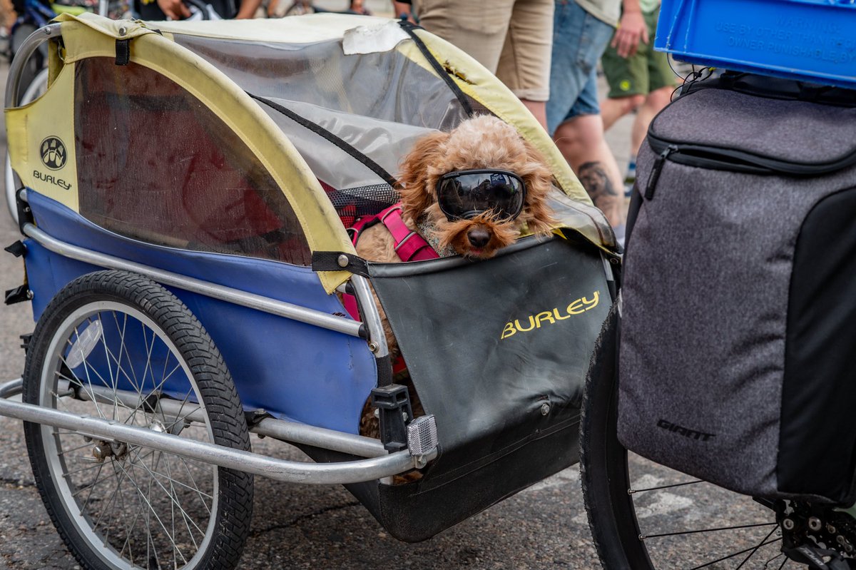 SLUG Magazine tweet media