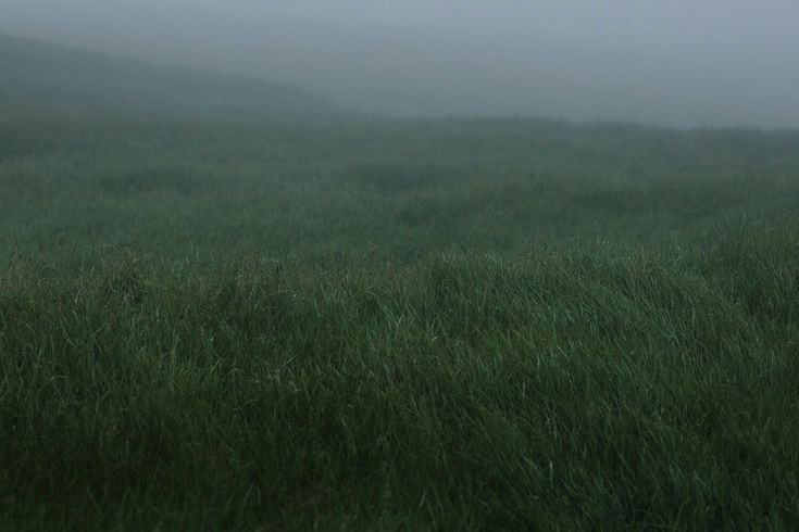 В̤ ̤м̤и̤р̤е̤ ̤ц̤а̤р̤и̤т̤ ̤г̤а̤р̤м̤о̤н̤и̤я̤,̤ ̤и̤ ̤с̤и̤я̤ю̤т̤ ̤з̤в̤ё̤з̤д̤ы̤.̤ ̤Э̤т̤о̤ ̤з̤а̤с̤л̤у̤г̤а̤ ̤Б̤о̤г̤а̤!̤ ̤В̤с̤е̤ ̤л̤ю̤д̤и̤ ̤—̤ ̤б̤р̤а̤т̤ь̤я̤,̤ ̤у̤ ̤в̤с̤е̤г̤о̤ ̤е̤с̤т̤ь̤ ̤о̤б̤щ̤е̤е̤ ̤н̤а̤ч̤а̤л̤о̤,̤ ̤и̤ ̤д̤ы̤х̤а̤н̤и̤е̤ ̤в̤е̤т̤р̤а̤ ̤б̤л̤а̤г̤о̤с̤л̤о̤в̤л̤я̤е̤т̤ ̤з̤е̤м̤л̤ю̤!