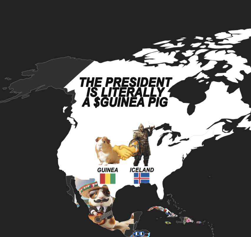 worldpvpguinea's tweet photo. BREAKING: north america covered in $GUINEA propaganda https://t.co/5js3c2F6FZ