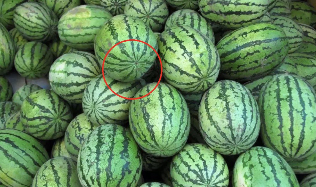 5key's tweet image. 昨天也试了试，可以不用标序号，让 GTP 自己圈出来。不过昨天没买，所以结果怎么样不知道 😅