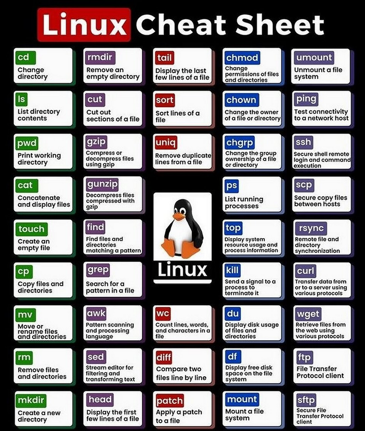 Linux Cheat Sheet morioh.com/a/adf67e0944c5…

#linux #unix #ubuntu #python #programming #developer #morioh #programmer #coding #coder #webdev #webdeveloper #webdevelopment #softwaredeveloper #computerscience