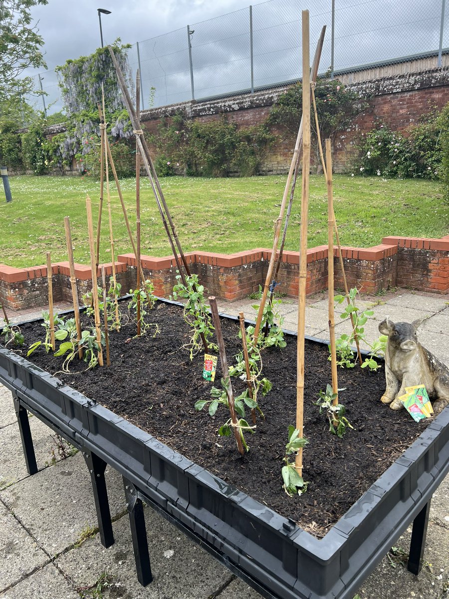 Isabelle Konnaris tweet media