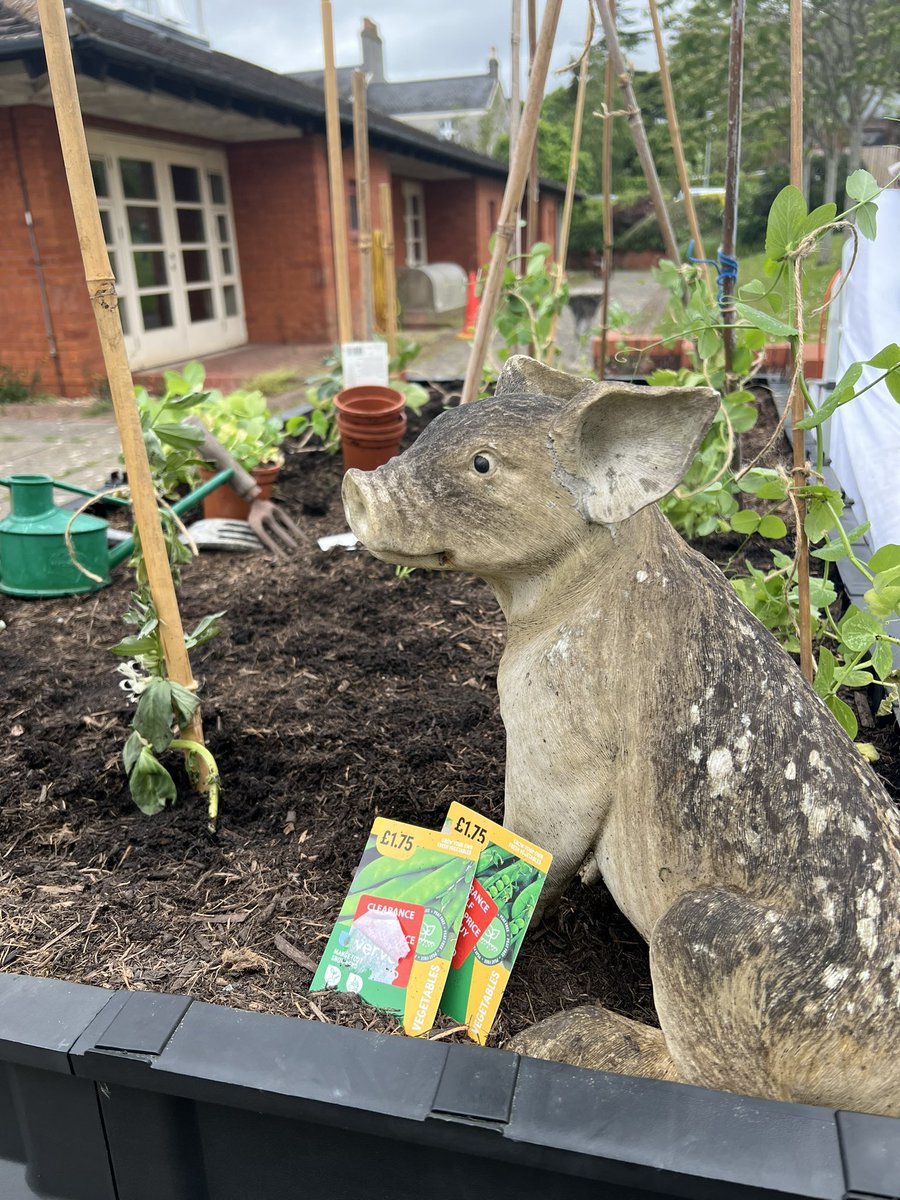 Isabelle Konnaris tweet media