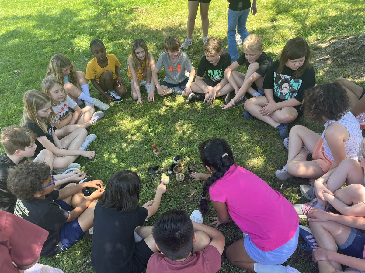 CassieSmolen tweet media