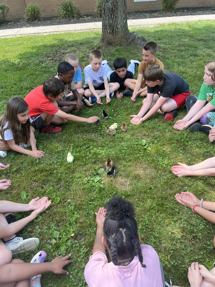 CassieSmolen tweet media