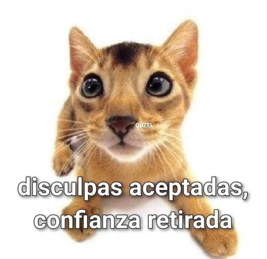 En Júpiter tweet media