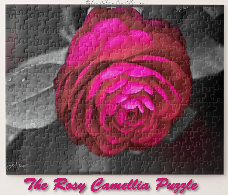💮🌿💮🌿💮🌿💮 
The Rosy Camellia Puzzle 
zazzle.com/the_rosy_camel…

#flowerphotography #PhotographyIsArt  #FLOWER  #blossom #gifts  #giftshop #giftideas #birthdaygift  #MothersDay #anniversarygift  #games #puzzle #puzzles