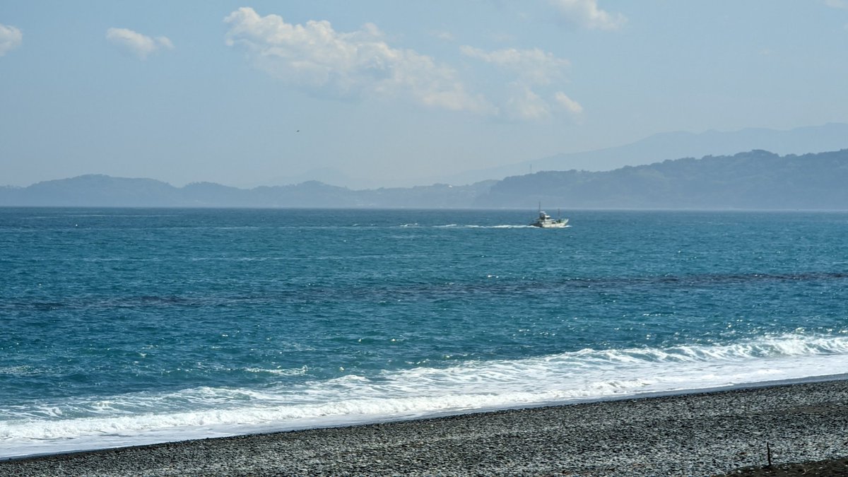 🌞おはようございます}🐛 🏖️🌊暑くなるそうでス}🐍 暑さに慣れていません}🐸 🍦ボチボチ慣らして 参りましょう}🐢