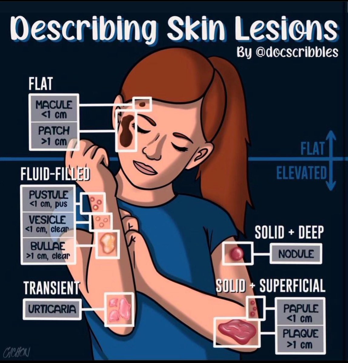 Medical_MD1's tweet photo. Quick Review on 

Skin lesions ✨🤩

. https://t.co/z3paPDjKGL