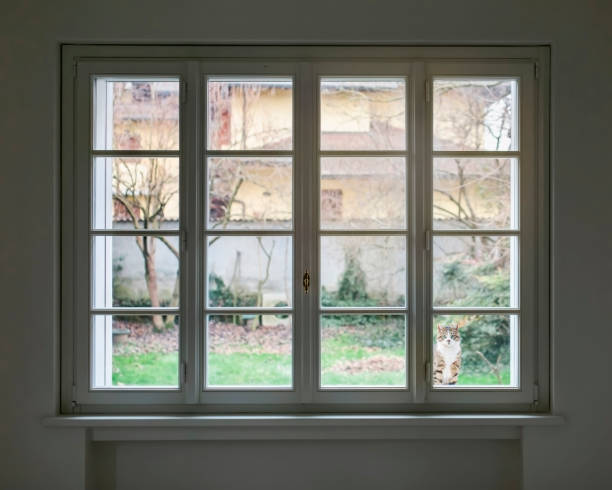 OntarioExt's tweet image. Ready to elevate your home's exterior? With over 25 years of experience, we specialize in roofing, skylights, gutters, and more. Visit our website for a free consultation and let's bring your vision to life! bit.ly/3PsJNkn