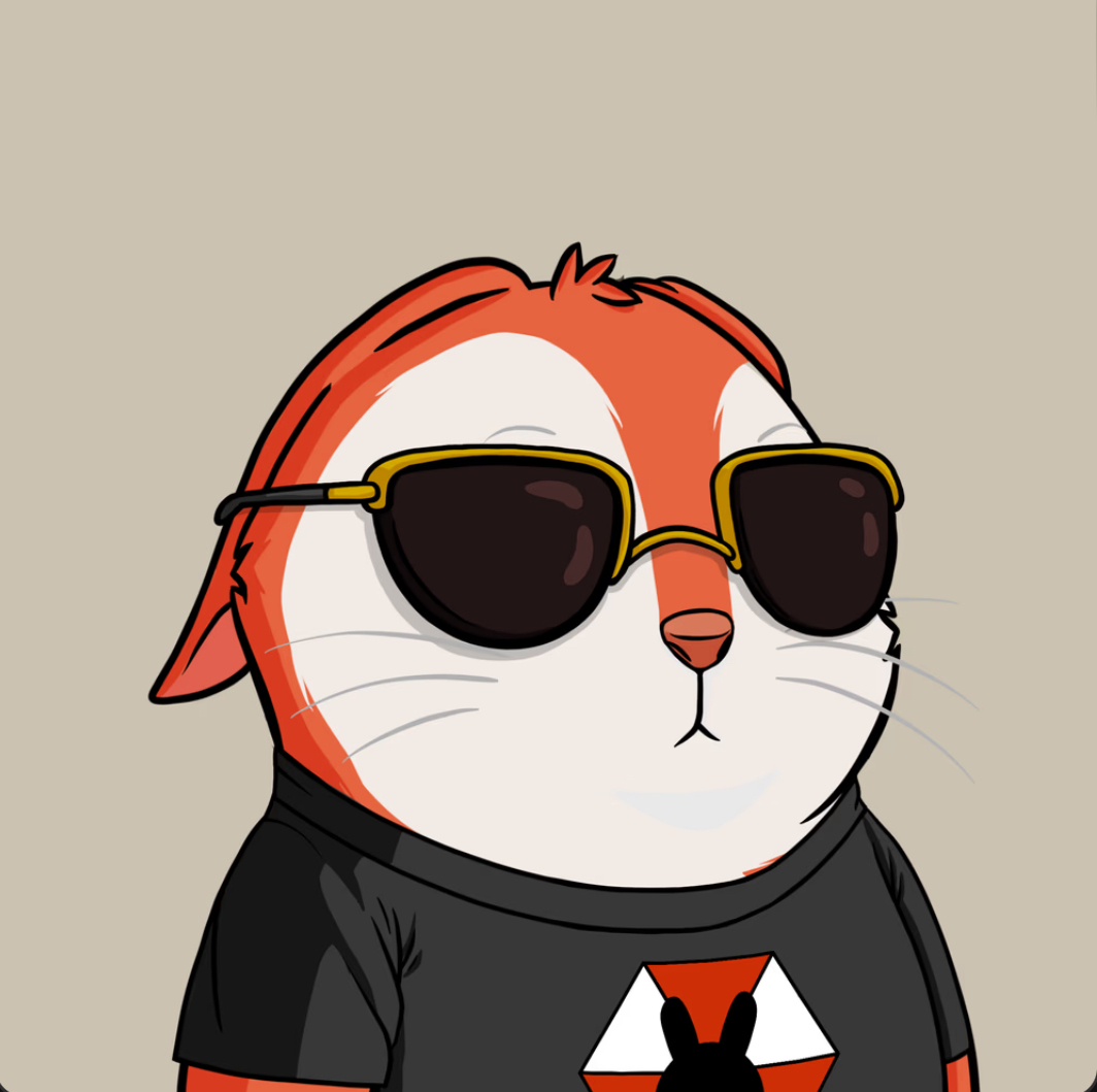phgbs1's tweet photo. You will want to be a Bun 📈🐰 https://t.co/RBI0qDucbJ