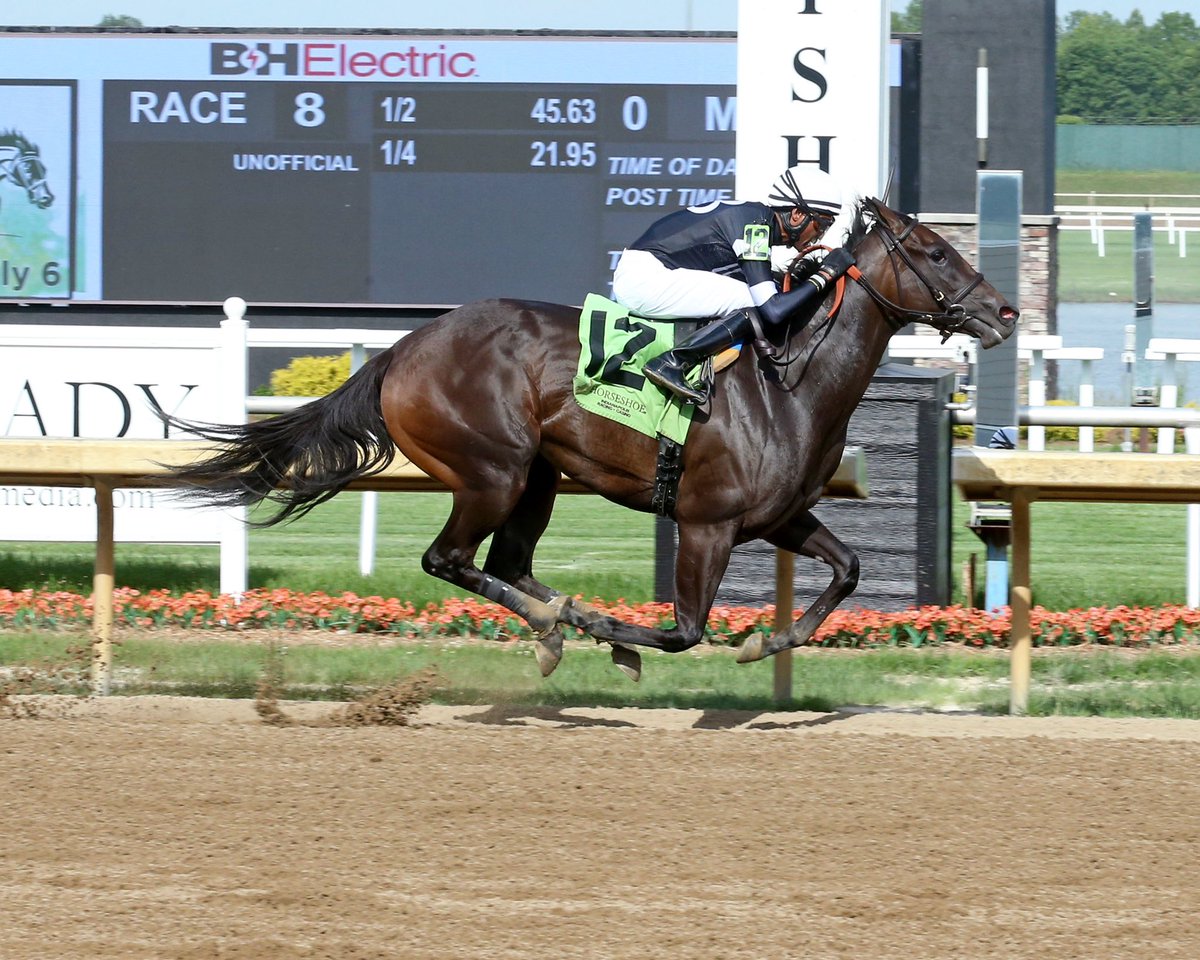 John G. Dooley (@johngdooley) on Twitter photo After being injured during training hours <a href="/fairgroundsnola/">Fair Grounds Race Course & Slots</a> on Super Bowl Sunday, <a href="/JockDeShawn/">DeShawn Parker</a> (6,138 wins) has been back <a href="/HSIndyRacing/">Horseshoe Indianapolis Race Course</a> now for three cards. Scores his first of the 2024 meet on GIRLS WEEKEND (World of Trouble) in Maiden Fillies Sprint by a wide margin for Whit After being injured during training hours <a href="/fairgroundsnola/">Fair Grounds Race Course & Slots</a> on Super Bowl Sunday, <a href="/JockDeShawn/">DeShawn Parker</a> (6,138 wins) has been back <a href="/HSIndyRacing/">Horseshoe Indianapolis Race Course</a> now for three cards. Scores his first of the 2024 meet on GIRLS WEEKEND (World of Trouble) in Maiden Fillies Sprint by a wide margin for Whit
