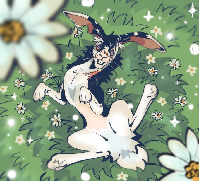 「grass white flower」 illustration images(Latest)