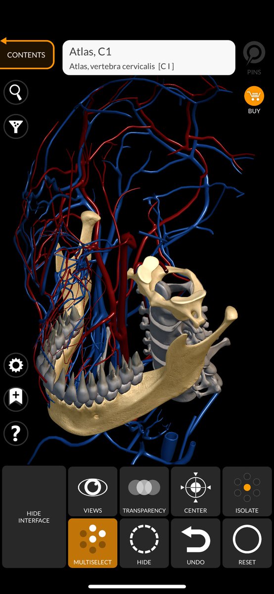 You can just view models of segments of humans