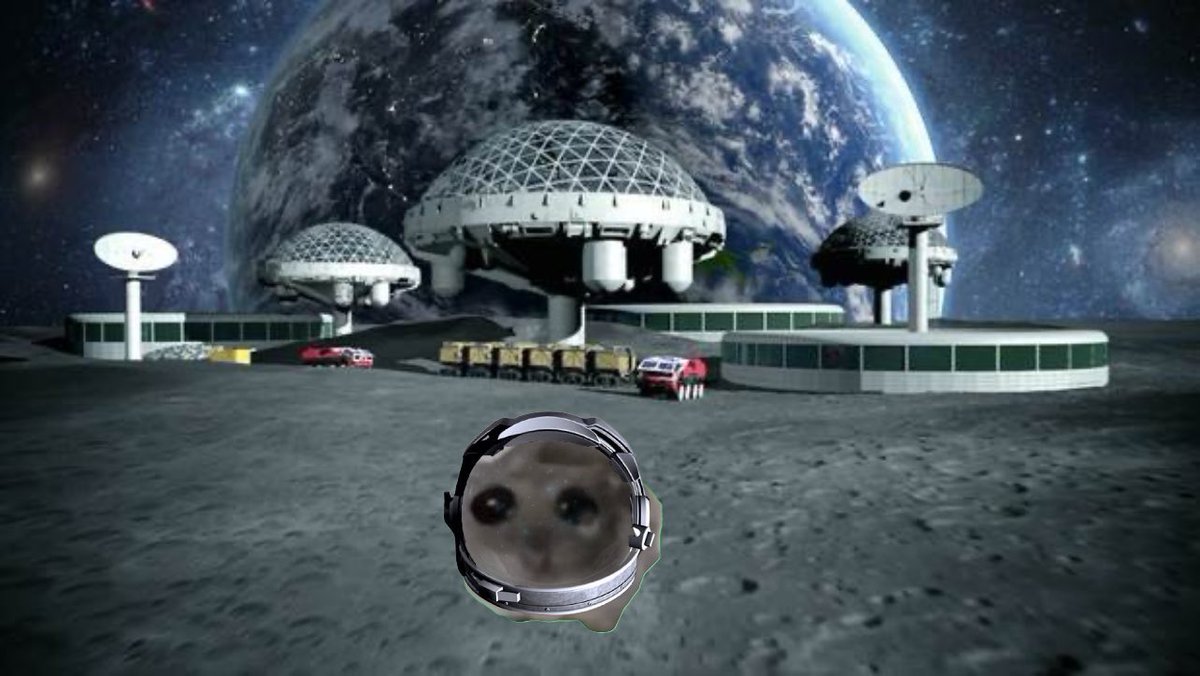 embrace sadness 

embrace the single most viral meme of 2024 

embrace ur gf’s favourite little animal 

embrace $hammy