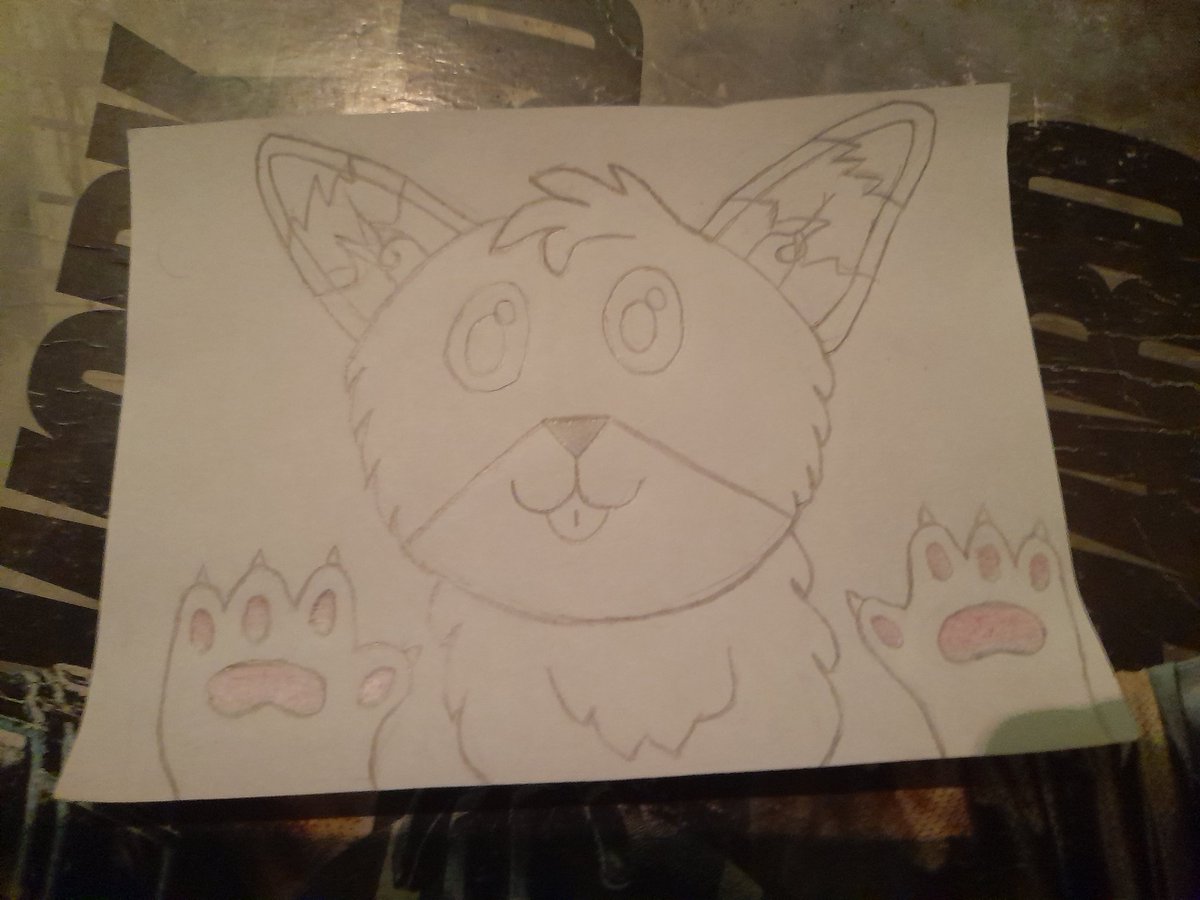 LobitoPrincipe's tweet photo. Aquí hice mi dibujo en la casa, la mayor parte fue en el colegio, pero en la casita lo terminé de dibujar y aparte de colorear.

Me quedo mejor que en la que tenia en mi mente jsjs :³

Wooff :³ https://t.co/dOiqkpJbMG
