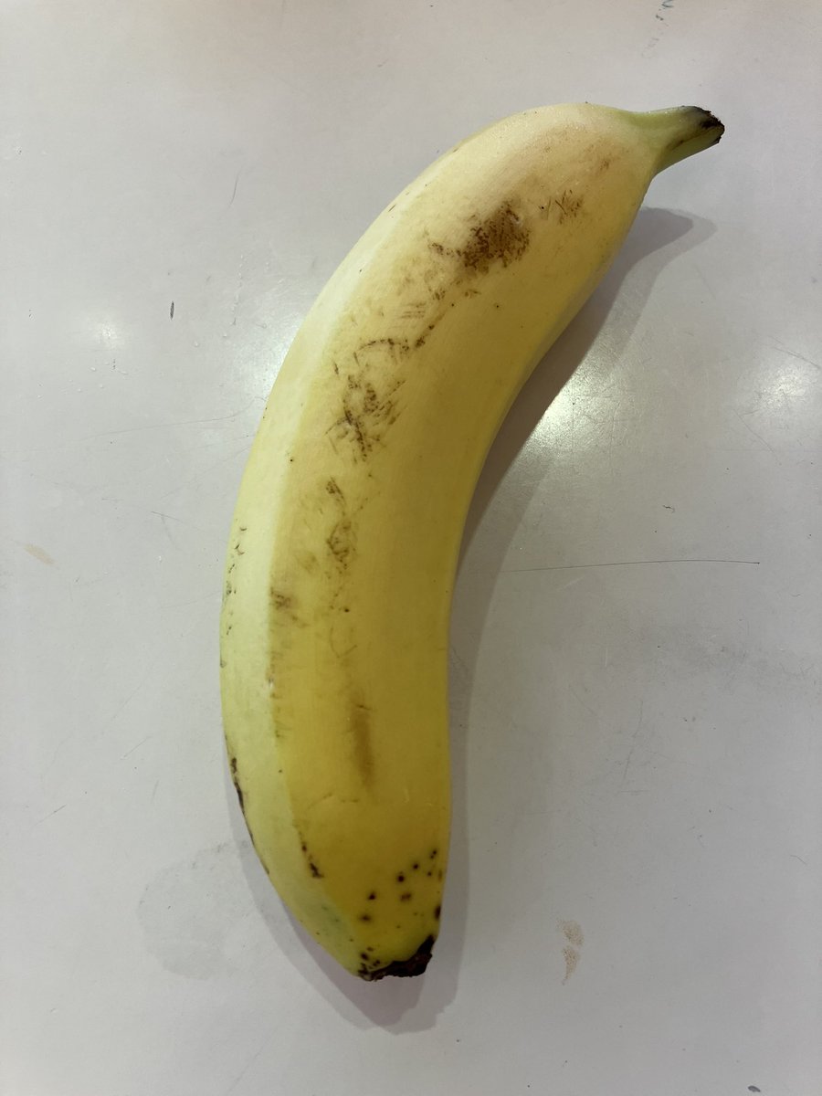謎の恐怖症
現在監禁中なのですが、食事にバナナが与えられました
実は私はバナナが大の苦手なのです‼️
ヌルヌルと、すぐ黒くなるのが恐怖です
ほええ…
まあ頑張って食べましたけど🤗
人には色んな苦手がありますね〜