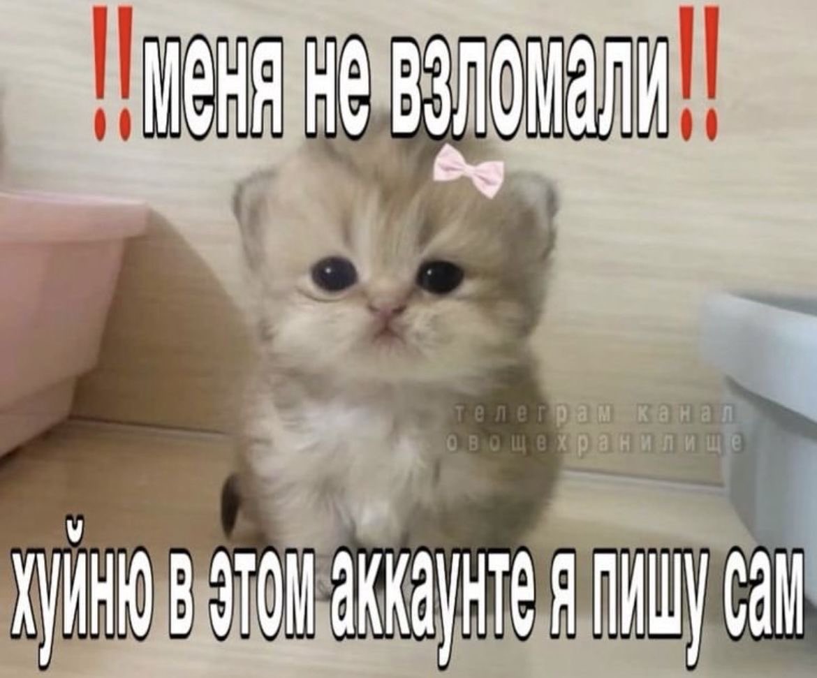 c1hhhh1's tweet photo. тяжело 2.0 https://t.co/4ykLORg185