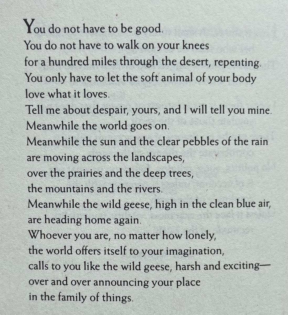 "You do not have to be good."

— Mary Oliver