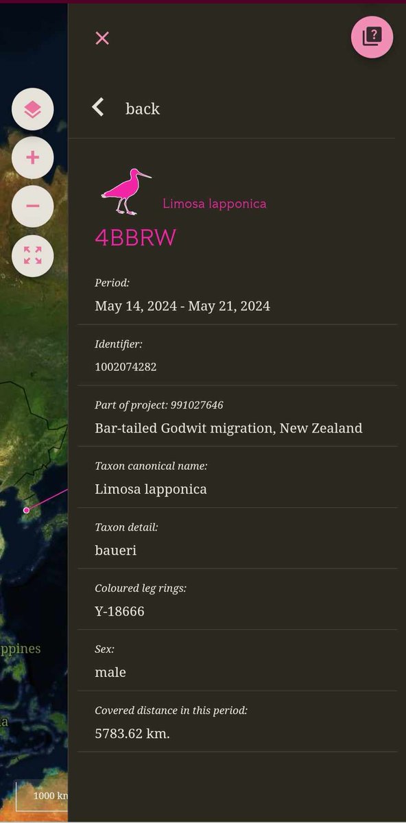 4BBRW has arrived at the Yukon Delta. He arrived about 5.40 am this morning. He may stop here for a bit or keep going to the Seaward Peninsula. He has flown 5783 km in 112 hours or 4.6 days at an average speed of 51 km/h. Follow him on globalflywaynetwork.org/tracks/project…