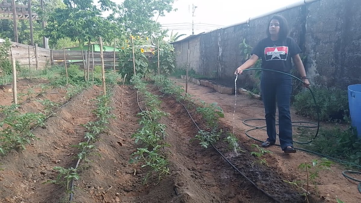 BloqCentroOccid's tweet photo. “ La Revolución tiene que dedicarle a la agricultura el máximo interés y el maximo esfuerzo, y la Revolución le está dedicando ese esfuerzo en estos momentos a la agricultura. La Revolución necesita de la máxima colaboración de los campesinos”
Fidel Castro.
#ConcienciaPatriótica https://t.co/jVId6O6LFW