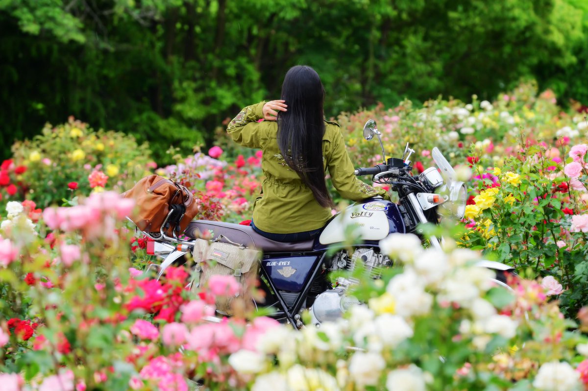 人生初・薔薇まみれ🥰 きゃ〜っ！😆 ✨🌹🏍️🌹✨ 甘い香りに包まれた☺️ のぶねこさん 素敵な写真をありがとう！😆 Photo:@nob_neko_rider #のぶねこフォト #volty