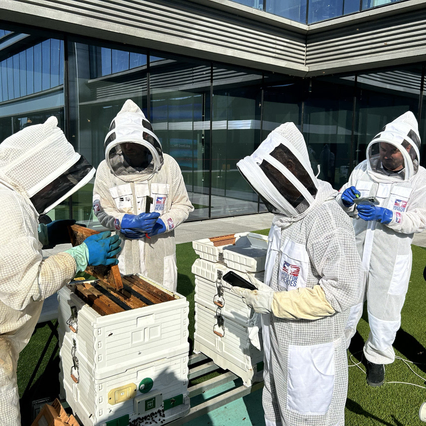 A bee-autiful day at HPE headquarters. 🐝 This past year, our Hives for Heroes program produced over 100 lbs. of honey which helped HPE raise more than $2,400 for local Houston charities. 🍯 Pretty sweet. #WorldBeeDay
