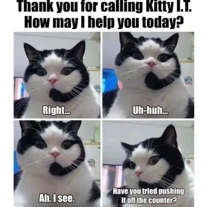 When they offshore customer service to the land of cats 🐈 😹