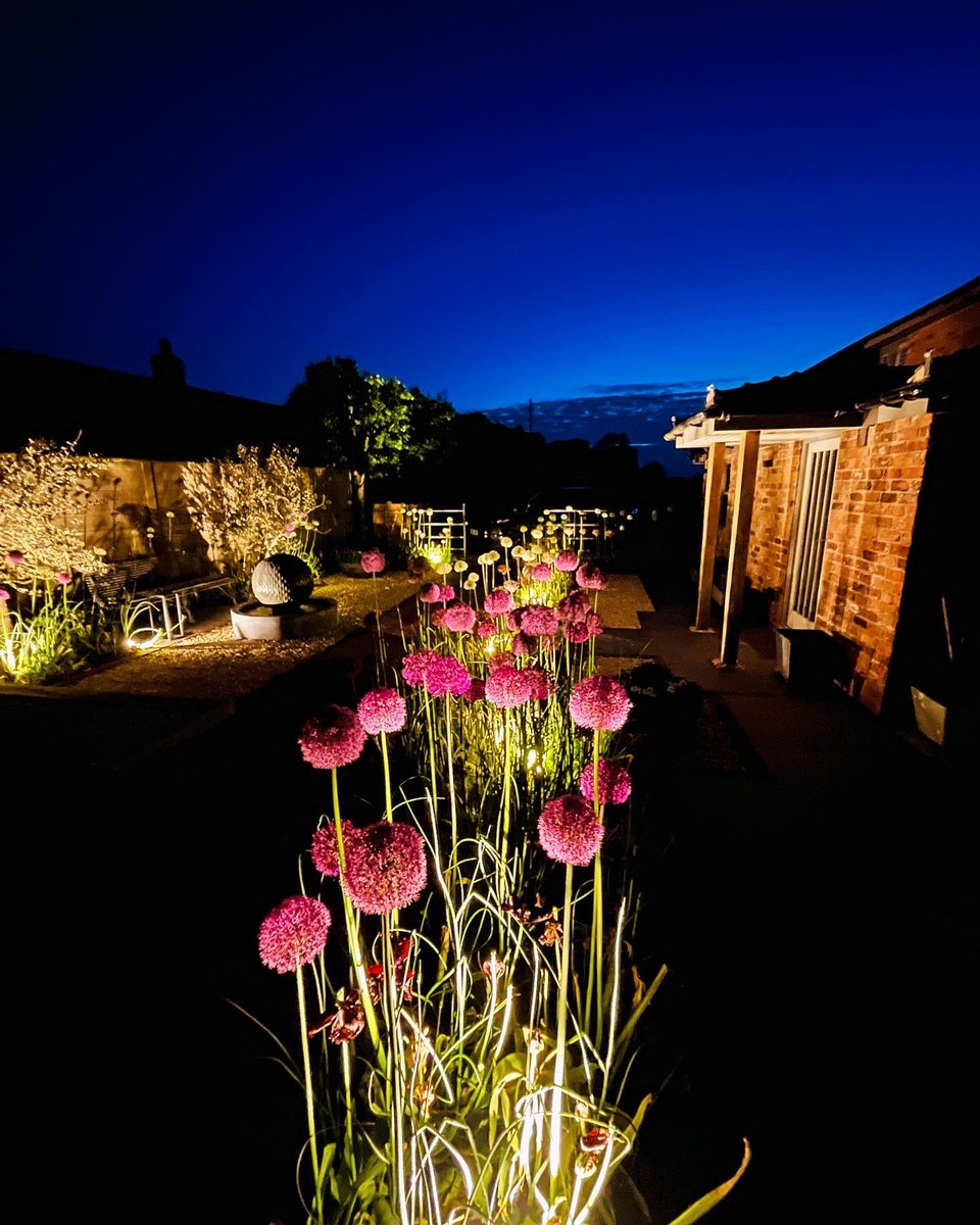 timcrossy's tweet photo. No need to visit #rhschelsea this year when all you have to do is open your own back door. @The_RHS #gardendesign #allium https://t.co/i0GLbeJwOZ