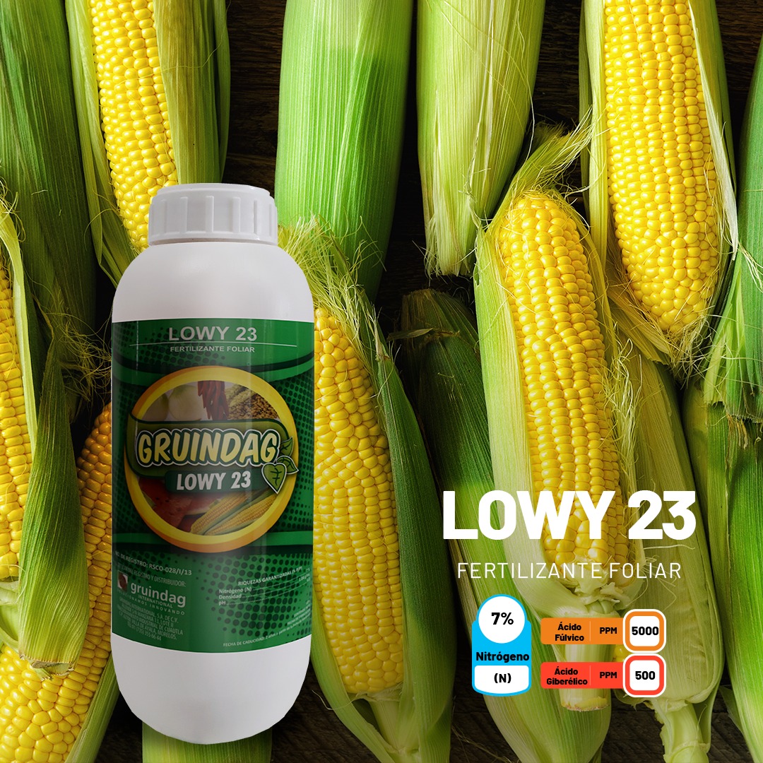 Potencia  el crecimiento y rendimiento de tus cultivos de maíz con LOWY 23,  nuestro fertilizante foliar de vanguardia. Su fórmula única, enriquecida  con nutrientes esenciales, estimula el desarrollo vegetativo, fortalece  la estructura de las plantas y mejora la absorción.