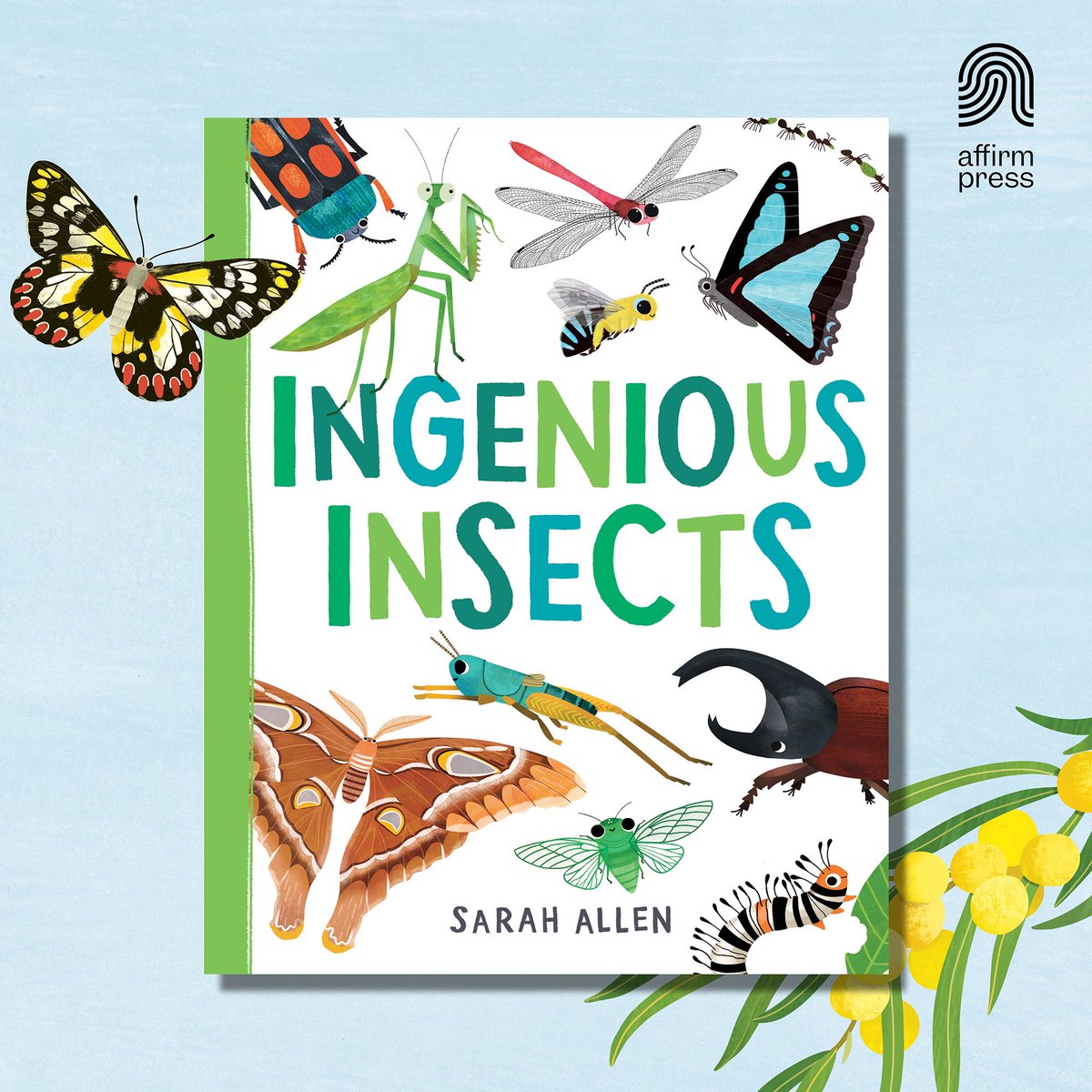 I’m excited to share the cover for Ingenious Insects, my third book with @AffirmPress. Say hello to chirping cicadas, flashing fireflies, sneaky stick insects and burrowing bees in this charming introduction to the bug life of Australia. Out 25/6. Preorder👇