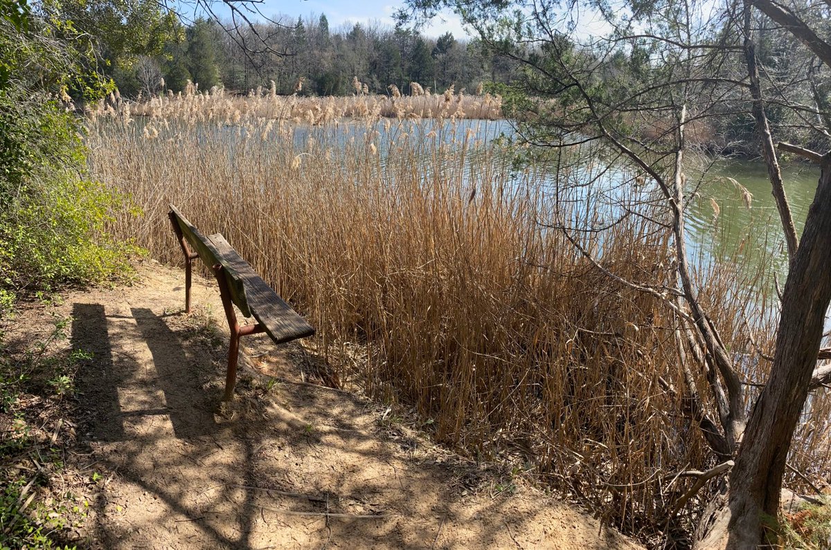 Mildred Hempel's tranquil pursuit of capturing nature's fleeting moments at Fairfield Lake State Park is now overshadowed by its closure. The park, sold to developers, locks texasobserver.org/fairfield-lake…